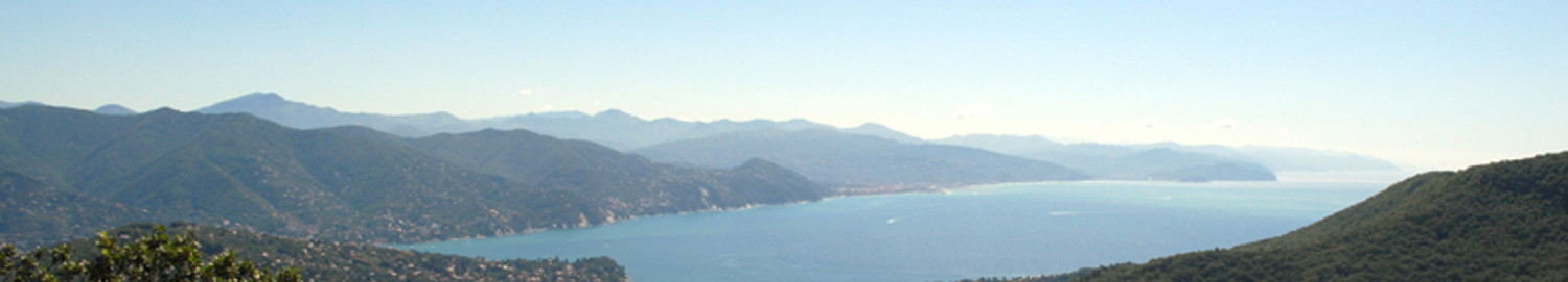 Riviera Home Holiday